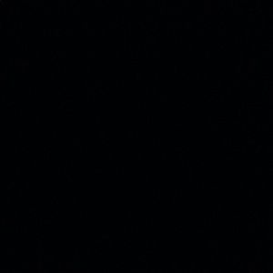 Meet your Posher, Chaz